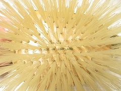 プチポワン　アンティークブラシ　お値下げ！ プチポワン アンティークブラシ お値下げ！